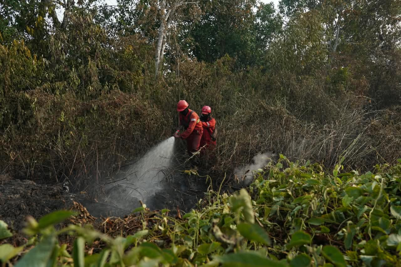 WhatsApp-Image-2026-09-01-at-08.39.51 Menhut dan BNPB Tinjau Karhutla di OKI, Sinergi Penanganan Diperkuat dan Bersatu